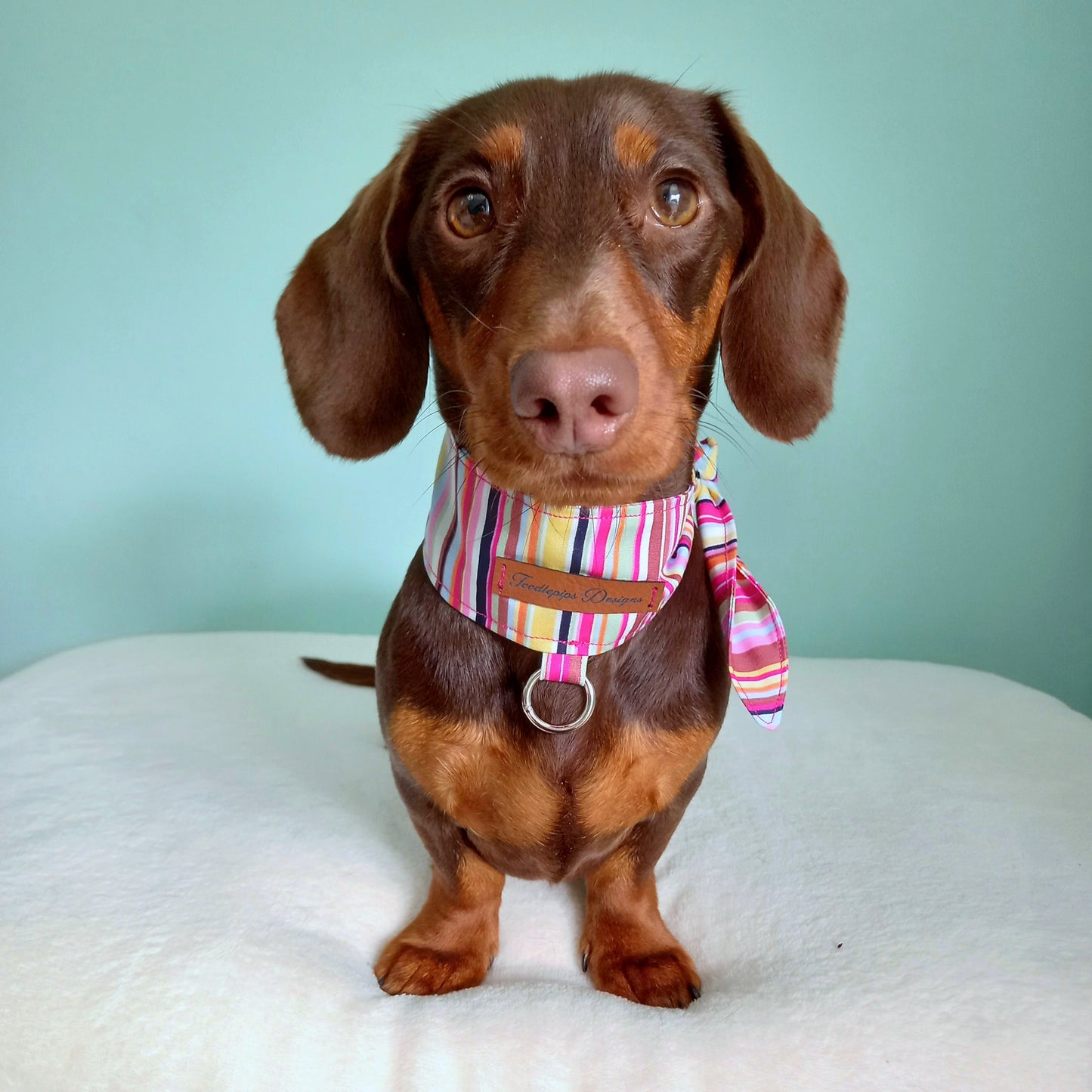 Neckerchief