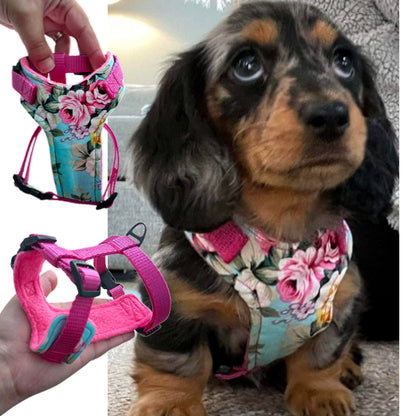 Puppy Harness