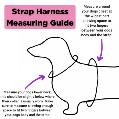 Strap Harness