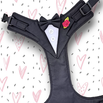 Tuxedo Harness