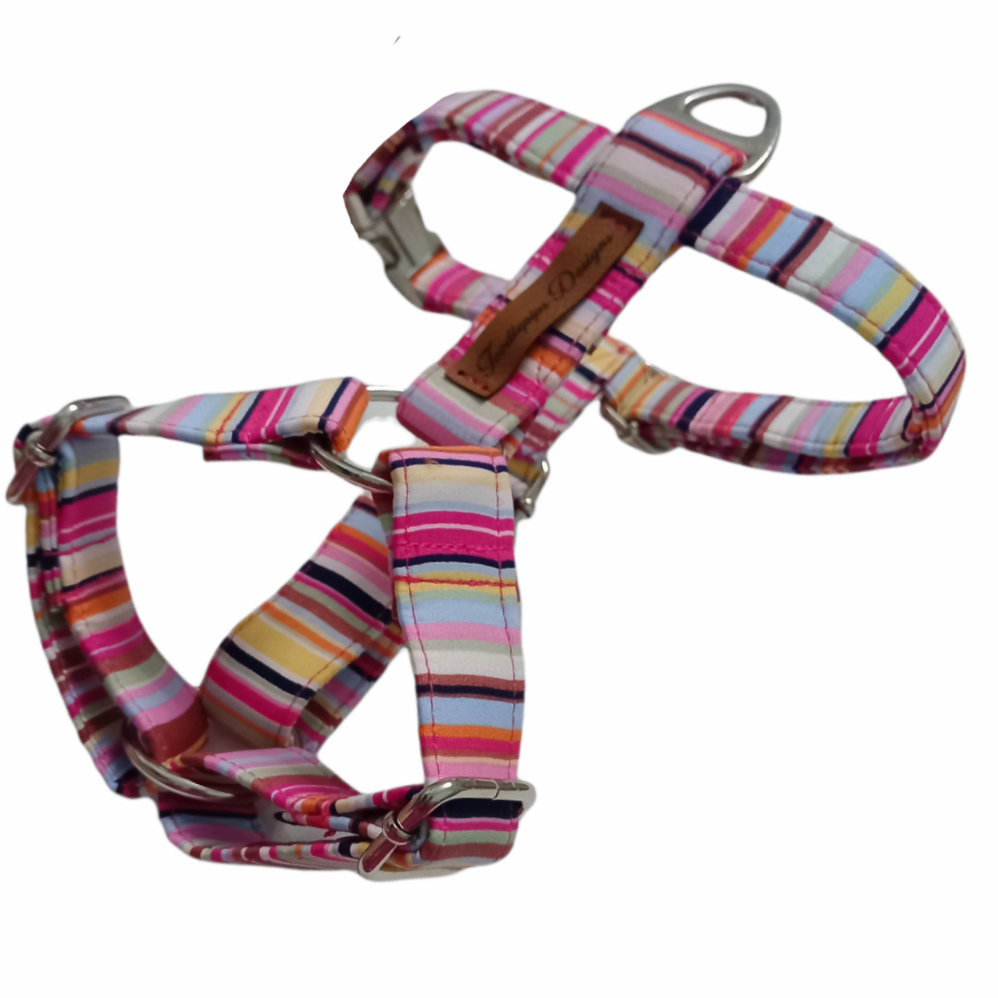 Strap Harness