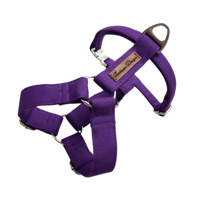 Strap Harness