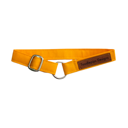 ID/House Collar (ADJUSTABLE)