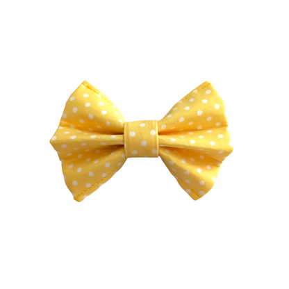 Traditional Bow Tie