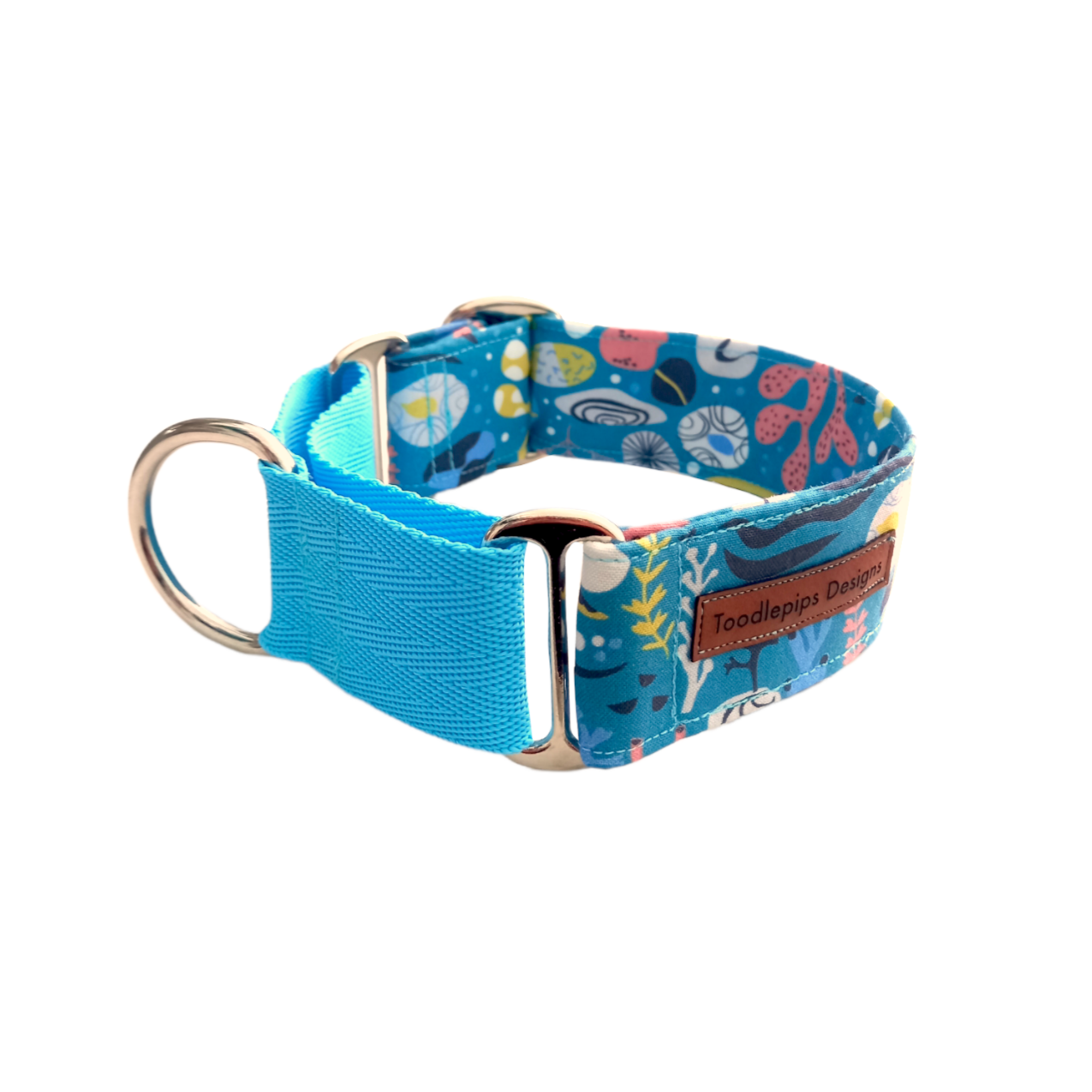 Martingale dog clearance collar near me