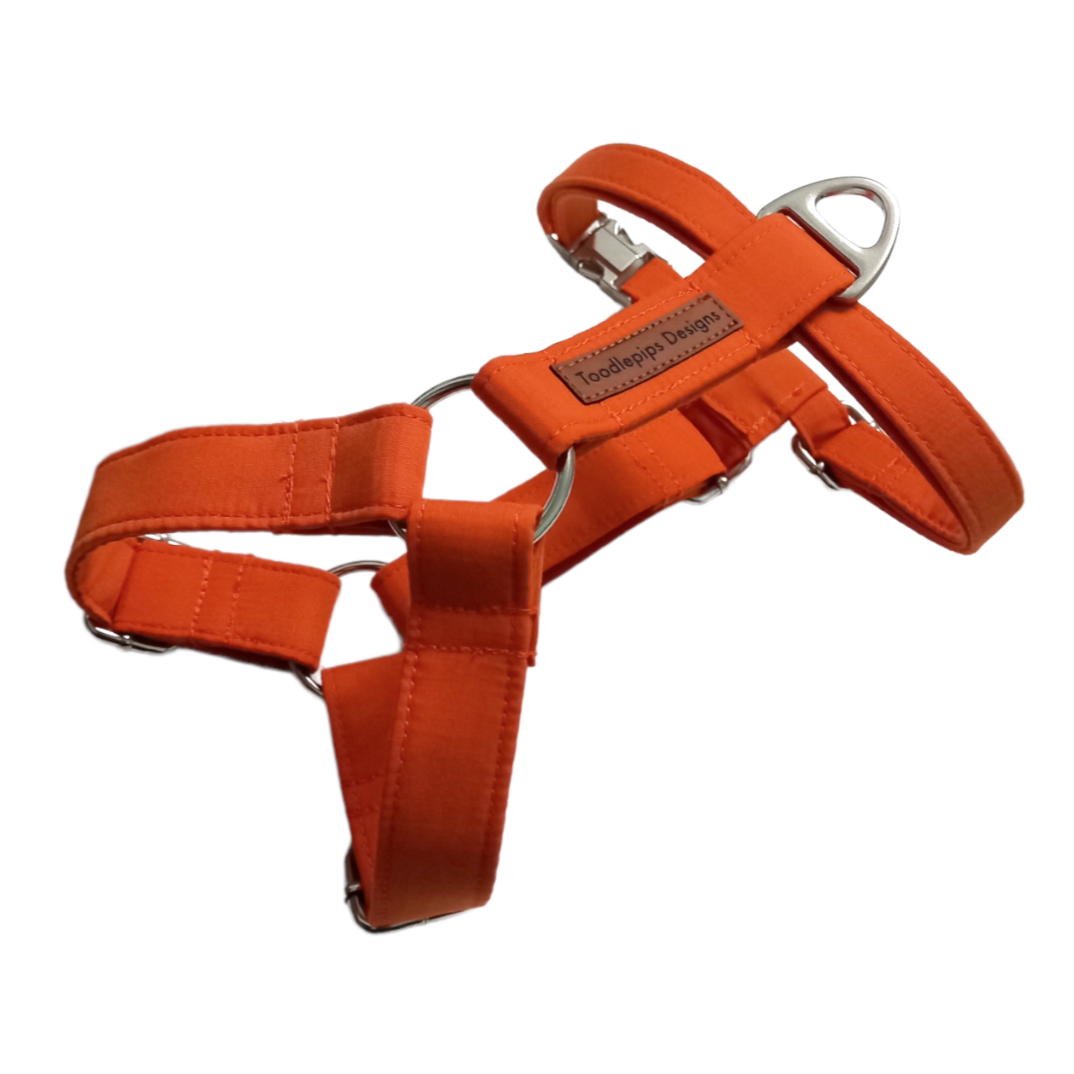 Strap Harness