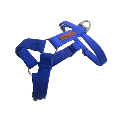 Strap Harness