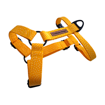 Strap Harness