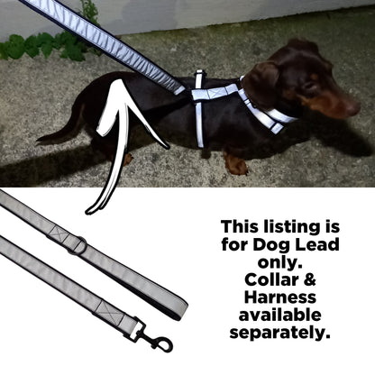 Hi-Vis/Reflective Dog Lead